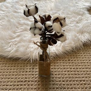 Picked cotton